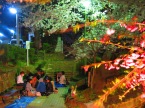 People enjoying Yozakura or night time viewing